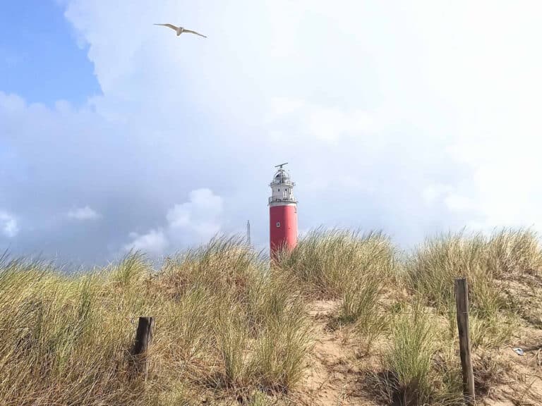 Texel: nizozemski otok vetra, ovc in dolgih plaž